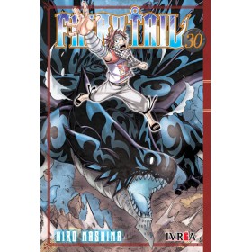 Fairy Tail 30